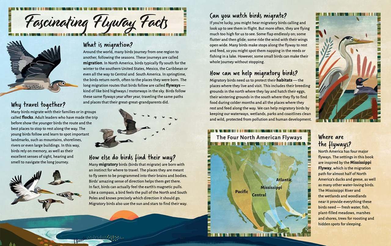 Follow the Flyway: The Marvel of Bird Migration - Mass
